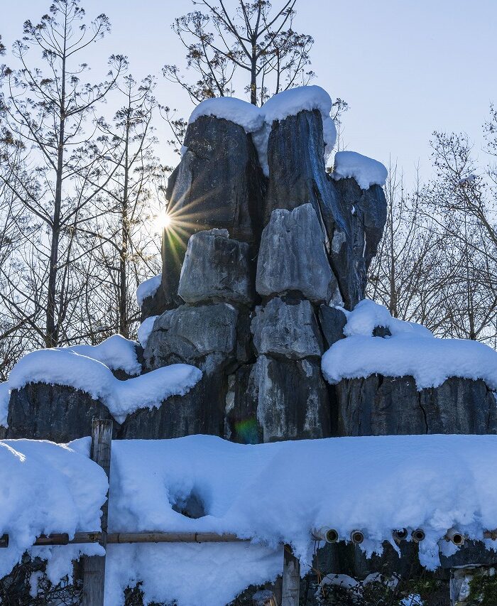 雪の石林