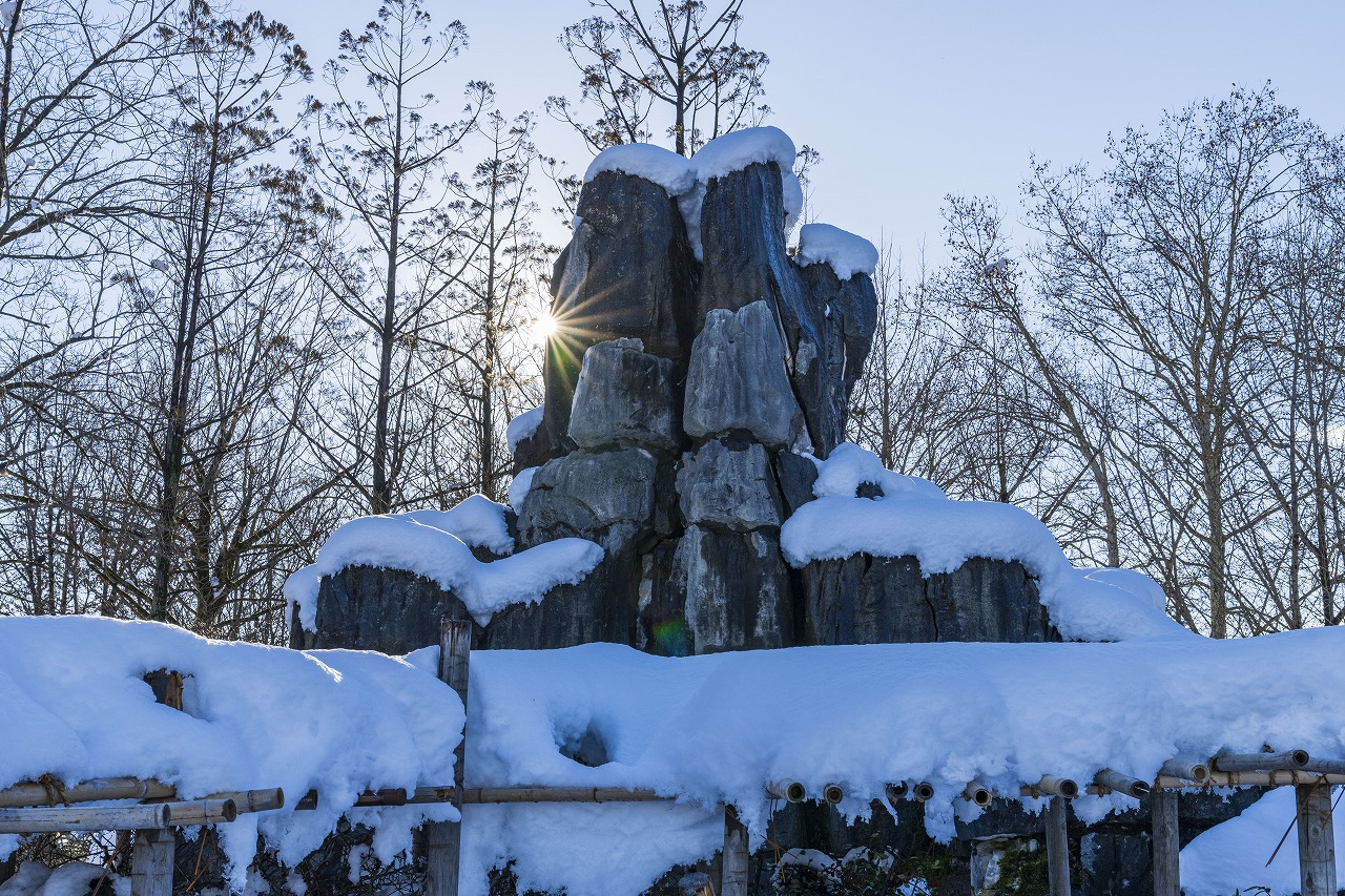 雪の石林