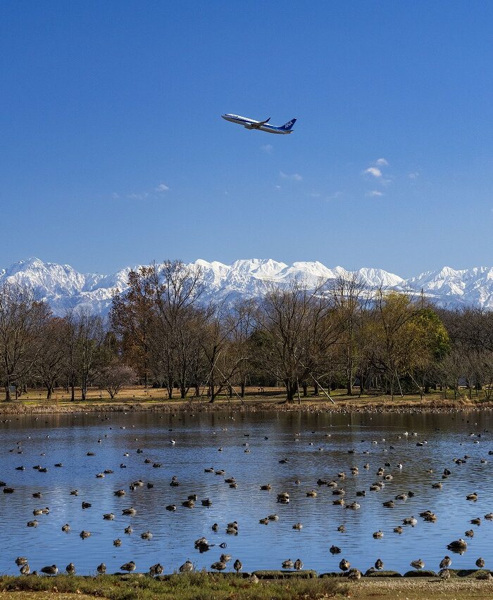 真っ青な空に飛びだす