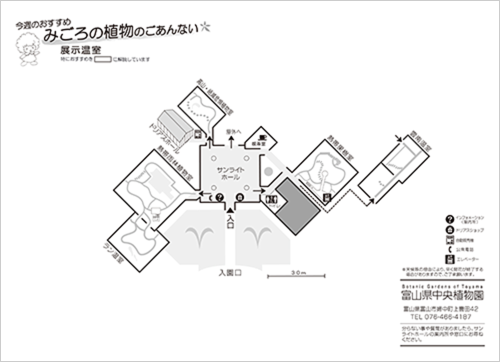 植物の見ごろ 富山県中央植物園ウェブサイト