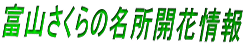 xR̖Jԏ