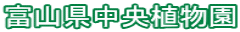 xRA