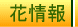 ԏ